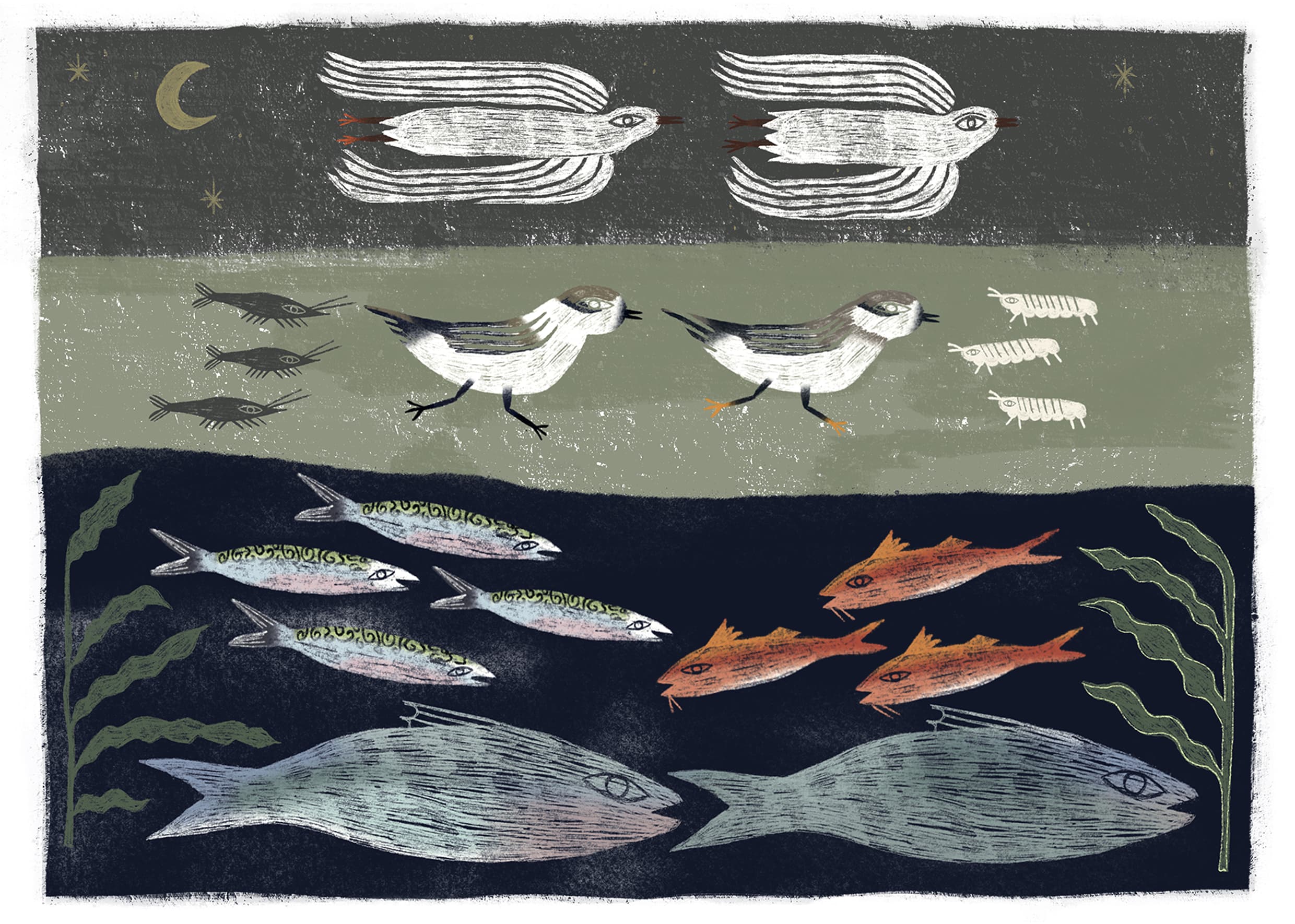 Œuvre représentative de Bérénice Duchemin